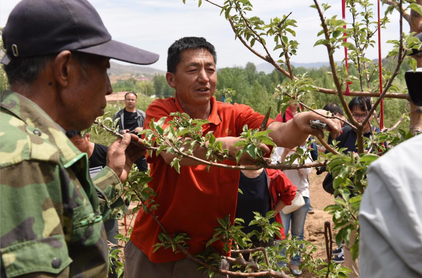 宁城县小城子镇八家村林果技术员为贫困户讲解果树种植技术