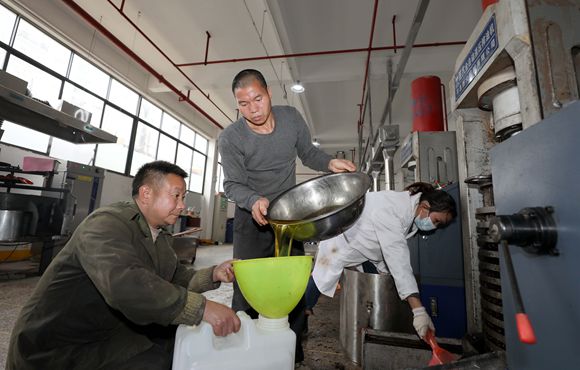 1月4日，在三江侗族自治县斗江镇一家茶油精深加工厂，两名工人在车间内装茶油。.jpg