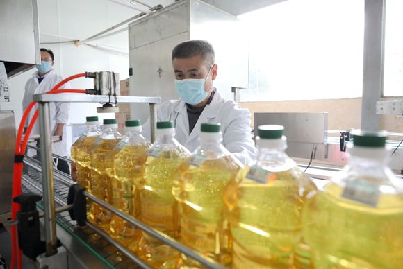 1月4日，在三江侗族自治县斗江镇一家茶油精深加工厂，一名工人在车间内包装茶油。.jpg