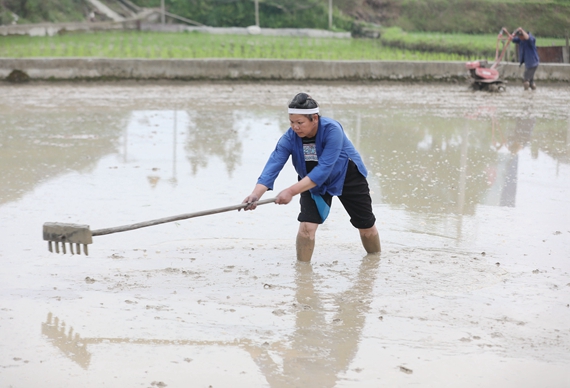 4月27日，在三江侗族自治县良口乡南寨村，一名妇女在平整稻田。1.jpg