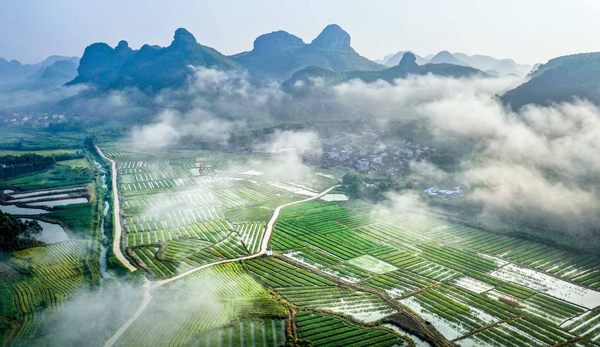 广西柳州：粮螺养殖 助农增收