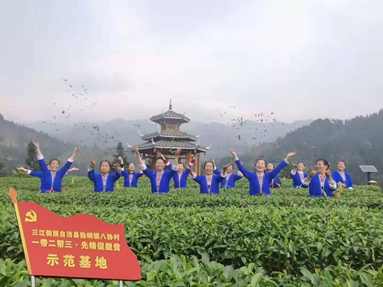 八协村的妇女正在茶园庆祝茶叶丰收_proc.jpg