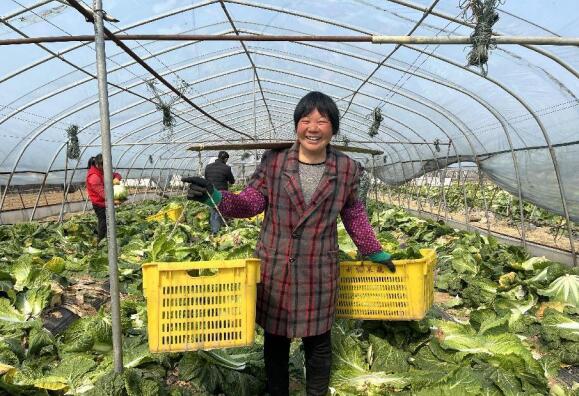 湖南韶山：“党建+”引领农业高质量发展  为乡村振兴蓄势赋能
